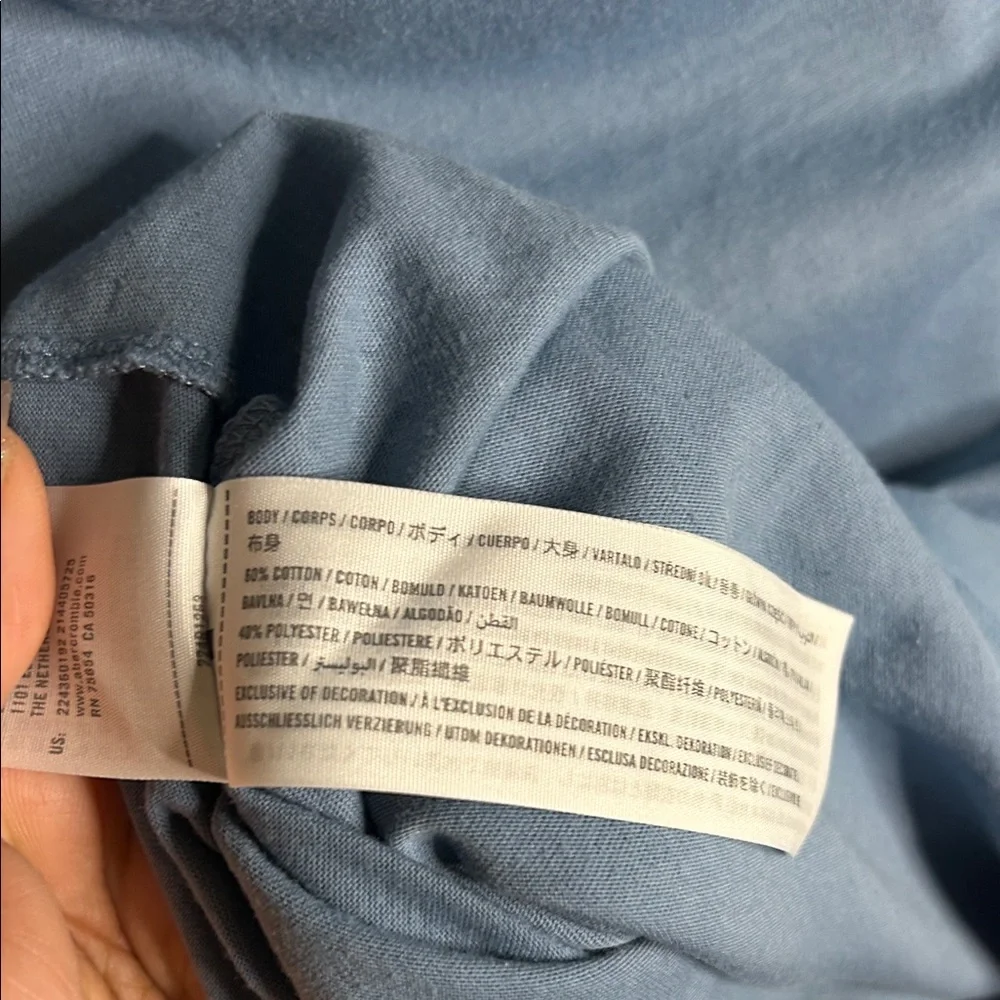 Abercrombie & Fitch Blue Tee with Logo Stripe